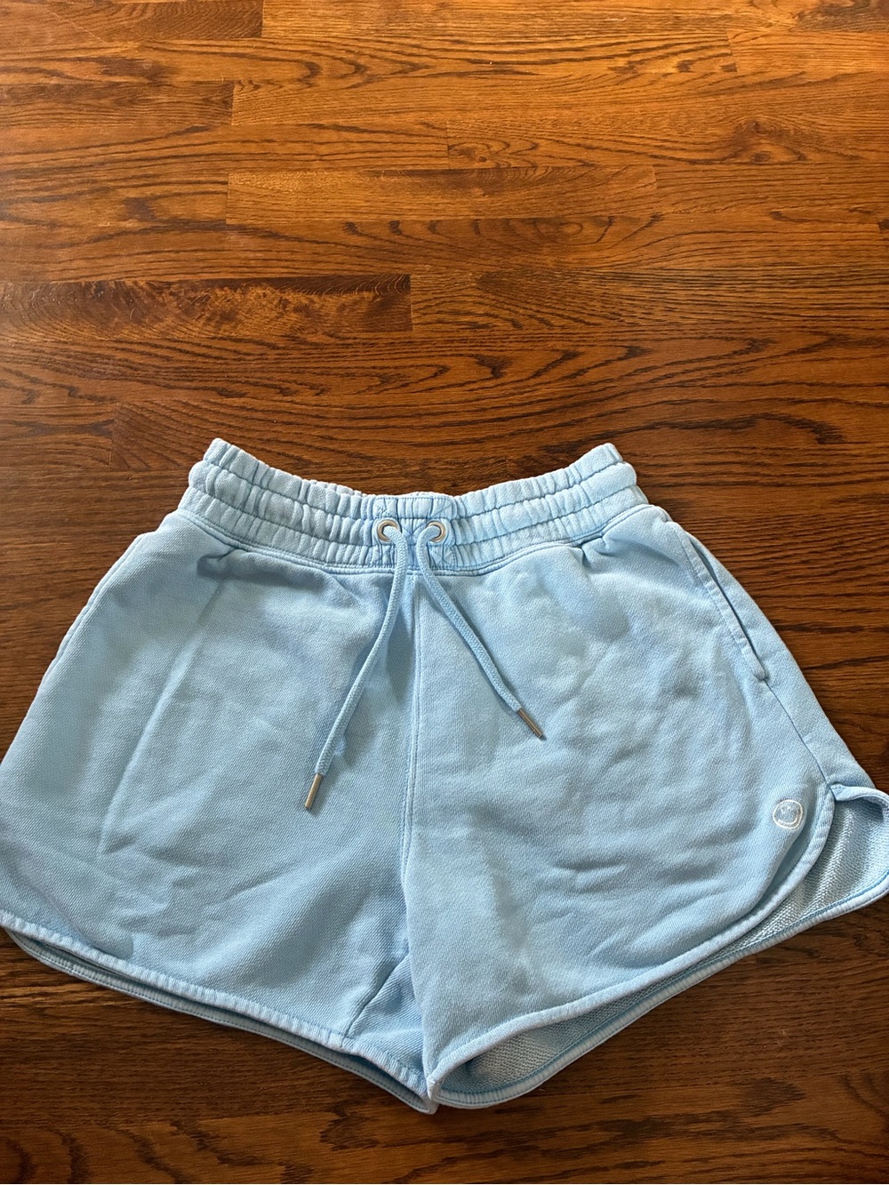 aerie Light Blue Athletic Drawstring Shorts